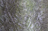 Lenwade fibreglass roof work